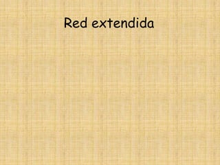 Red extendida 