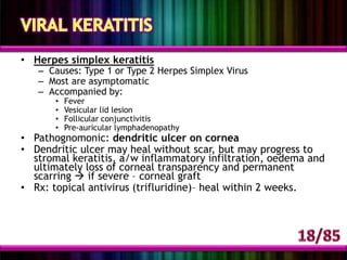 Iris and ciliary body