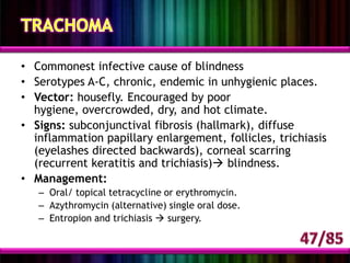Function:Transmission of light