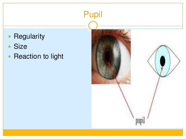 Blurred Vision Yaz Eye Light Looking Pain