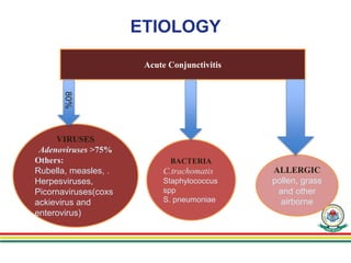 ETIOLOGY
Acute Conjunctivitis
VIRUSES
Adenoviruses >75%
Others:
Rubella, measles, .
Herpesviruses,
Picornaviruses(coxs
ackievirus and
enterovirus)
BACTERIA
C.trachomatis
Staphylococcus
spp
S. pneumoniae
ALLERGIC
pollen, grass
and other
airborne
80%
 