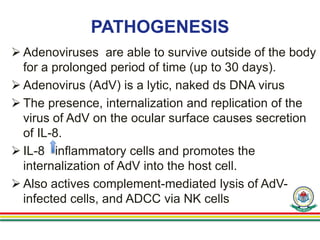 PATHOGENESIS
 Adenoviruses are able to survive outside of the body
for a prolonged period of time (up to 30 days).
 Adenovirus (AdV) is a lytic, naked ds DNA virus
 The presence, internalization and replication of the
virus of AdV on the ocular surface causes secretion
of IL-8.
 IL-8 inflammatory cells and promotes the
internalization of AdV into the host cell.
 Also actives complement-mediated lysis of AdV-
infected cells, and ADCC via NK cells
 