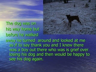 The dog was on  his way home but  before he walked  away he turned  around and looked at me  as if to say thank you and I knew there was a boy out there who was is grief over losing his dog and then would be happy to see his dog again. 