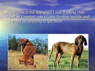 It was back in the day when I was a young child and all I wanted was to own hunting hounds and I would do anything to get them. 
