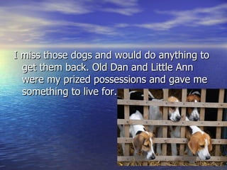 I miss those dogs and would do anything to get them back. Old Dan and Little Ann were my prized possessions and gave me something to live for. 