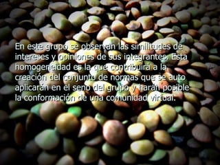 En este grupo se observan las similitudes de intereses y opiniones de sus integrantes. Esta homogeneidad es la que contribuirá a la creación del conjunto de normas que se auto aplicarán en el seno del grupo y harán posible la conformación de una comunidad virtual.   