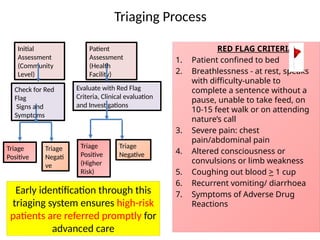 Comprehensive Triaging Process and Red Flag Criteria for Patient ...
