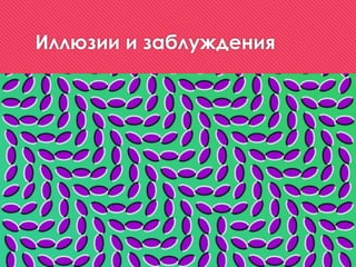 Иллюзии и заблуждения
 