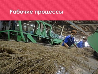 Рабочие процессы
 