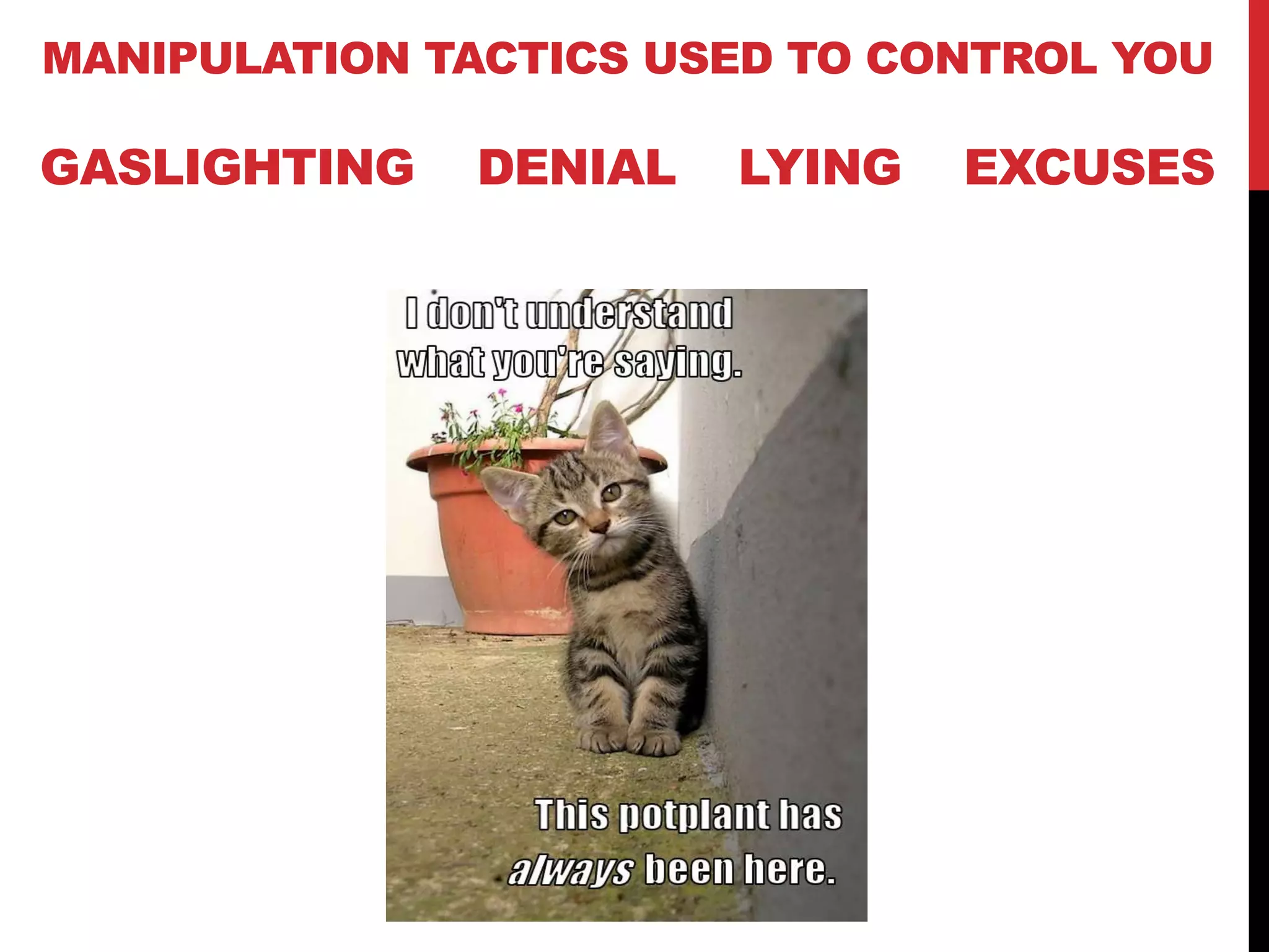 MANIPULATION TACTICS USED TO CONTROL YOU
GASLIGHTING DENIAL LYING EXCUSES
 