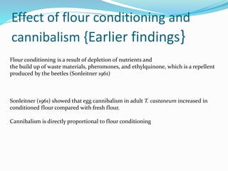 Effect of flour conditioning and
cannibalism {Earlier findings}
Flour conditioning is a result of depletion of nutrients and
the build up of waste materials, pheromones, and ethylquinone, which is a repellent
produced by the beetles (Sonleitner 1961)
Sonleitner (1961) showed that egg cannibalism in adult T. castaneum increased in
conditioned flour compared with fresh flour.
Cannibalism is directly proportional to flour conditioning
 