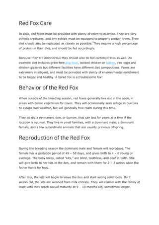 Red Fox Care
In zoos, red foxes must be provided with plenty of room to exercise. They are very
athletic creatures, and any exhibit must be equipped to properly contain them. Their
diet should also be replicated as closely as possible. They require a high percentage
of protein in their diet, and should be fed accordingly.
Because they are omnivorous they should also be fed carbohydrates as well. An
example diet includes grain-free dog food, cooked chicken or turkey, raw eggs and
chicken gizzards but different facilities have different diet compositions. Foxes are
extremely intelligent, and must be provided with plenty of environmental enrichment
to be happy and healthy. A bored fox is a troublesome fox!
Behavior of the Red Fox
When outside of the breeding season, red foxes generally live out in the open, in
areas with dense vegetation for cover. They will occasionally seek refuge in burrows
to escape bad weather, but will generally free roam during this time.
They do dig a permanent den, or burrow, that can last for years at a time if the
location is optimal. They live in small families, with a dominant male, a dominant
female, and a few subordinate animals that are usually previous offspring.
Reproduction of the Red Fox
During the breeding season the dominant male and female will reproduce. The
female has a gestation period of 49 – 58 days, and gives birth to 4 – 6 young on
average. The baby foxes, called “kits,” are blind, toothless, and deaf at birth. She
will give birth to her kits in the den, and remain with them for 2 – 3 weeks while the
father hunts for food.
After this, the kits will begin to leave the den and start eating solid foods. By 7
weeks old, the kits are weaned from milk entirely. They will remain with the family at
least until they reach sexual maturity at 9 – 10 months old, sometimes longer.
 