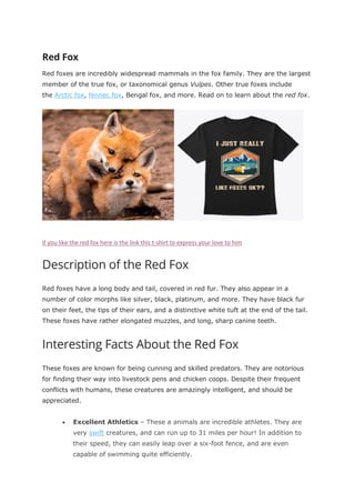 Red Fox
Red foxes are incredibly widespread mammals in the fox family. They are the largest
member of the true fox, or taxonomical genus Vulpes. Other true foxes include
the Arctic fox, fennec fox, Bengal fox, and more. Read on to learn about the red fox.
if you like the red fox here is the link this t-shirt to express your love to him
Description of the Red Fox
Red foxes have a long body and tail, covered in red fur. They also appear in a
number of color morphs like silver, black, platinum, and more. They have black fur
on their feet, the tips of their ears, and a distinctive white tuft at the end of the tail.
These foxes have rather elongated muzzles, and long, sharp canine teeth.
Interesting Facts About the Red Fox
These foxes are known for being cunning and skilled predators. They are notorious
for finding their way into livestock pens and chicken coops. Despite their frequent
conflicts with humans, these creatures are amazingly intelligent, and should be
appreciated.
• Excellent Athletics – These a animals are incredible athletes. They are
very swift creatures, and can run up to 31 miles per hour! In addition to
their speed, they can easily leap over a six-foot fence, and are even
capable of swimming quite efficiently.
 