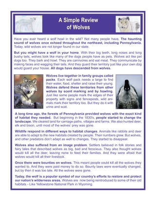 Have you ever heard a wolf howl in the wild? Not many people have. The haunting
sound of wolves once echoed throughout the northeast, including Pennsylvania.
Today, wild wolves are not longer found in our state.
But you might have a wolf in your home. With their big teeth, long noses and long
bushy tails, wolves look like many of the dogs people have as pets. Wolves act like pet
dogs too. They bark and howl. They are carnivores and eat meat. They communicate by
making faces and wagging their tails. And they guard their territory just like your own dog
would guard your house. All dogs have descended from wolves.
A long time ago, the forests of Pennsylvania provided wolves with the exact kind
of habitat they needed. But beginning in the 1830's, people started to change the
landscape. We cleared land for carriage paths, villages and farms. We also hunted deer,
elk and bison, until most of the wolves’ prey was gone.
Wildlife respond in different ways to habitat changes. Animals like rabbits and deer
are able to adapt to the new habitats created by people. Their numbers grew. But wolves,
and other predators don’t adapt as well to changes. They started to disappear.
Wolves also suffered from an image problem. Settlers believed in folk stories and
fairy tales that described wolves as big, bad and ferocious. They also thought wolves
would kill all the deer, leaving none to feed their families. And they were afraid that
wolves would kill all their livestock.
Once there were bounties on wolves. This meant people could kill all the wolves they
wanted to. And they were paid money to do so. Bounty laws were eventually changed,
but by then it was too late. All the wolves were gone.
Today, the wolf is a popular symbol of our country’s efforts to restore and protect
our nation’s wilderness areas. Wolves are now being reintroduced to some of their old
habitats - Like Yellowstone National Park in Wyoming.
Wolves live together in family groups called
packs. Each wolf pack needs a large to find
their water, food, shelter and raise their young.
Wolves defend these territories from other
wolves by scent marking and by howling.
Just like some people mark the edges of their
property with signs and fenceposts, wild ani-
mals mark their territory too. But they do it with
urine and scat.
A Simple Review
of Wolves
 
