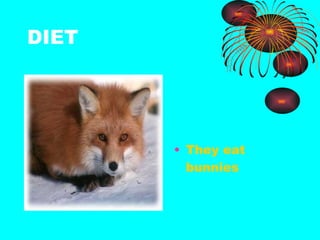 DIET They eat bunnies  