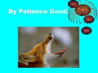 By Patience Good.  