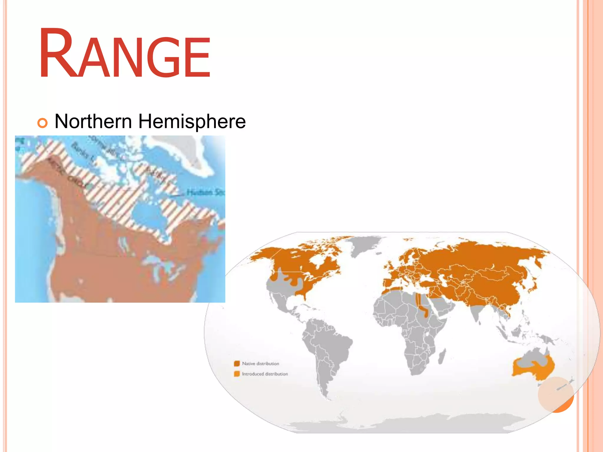 RANGE
Northern Hemisphere