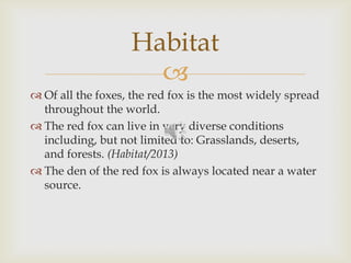 
 Of all the foxes, the red fox is the most widely spread
throughout the world.
 The red fox can live in very diverse conditions
including, but not limited to: Grasslands, deserts,
and forests. (Habitat/2013)
 The den of the red fox is always located near a water
source.
Habitat
 