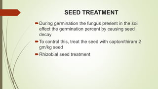 SEED TREATMENT
During germination the fungus present in the soil
effect the germination percent by causing seed
decay
To control this, treat the seed with capton/thiram 2
gm/kg seed
Rhizobial seed treatment
 