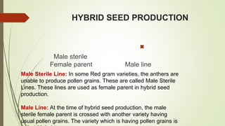 HYBRID SEED PRODUCTION
Male sterile
Female parent Male line
Male Sterile Line: In some Red gram varieties, the anthers are
unable to produce pollen grains. These are called Male Sterile
Lines. These lines are used as female parent in hybrid seed
production.
Male Line: At the time of hybrid seed production, the male
sterile female parent is crossed with another variety having
usual pollen grains. The variety which is having pollen grains is
 