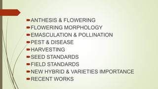 ANTHESIS & FLOWERING
FLOWERING MORPHOLOGY
EMASCULATION & POLLINATION
PEST & DISEASE
HARVESTING
SEED STANDARDS
FIELD STANDARDS
NEW HYBRID & VARIETIES IMPORTANCE
RECENT WORKS
 
