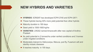 NEW HYBRIDS AND VARIETIES
 HYBRIDS: ICRISAT has developed ICPH 2740 and ICPH 2671
 These hybrids having 30% more yield potential than other hybrids
 Maturity duration is 180 days
 Seed yield is 1500-1600 kg/ha
 VARIETIES: LRG52 named Amaravathi after new capital of Andhra
Pradesh
 Its yield potential is 2 tonnes/ha under rainfed conditions and 3 tonnes
under irrigated conditions
 Moderately tolerant to Helicoverpa, Maruca, pod fly, Fusarium wilt and
sterility mosaic diseases
 It reaches maturity in 150 days.
 