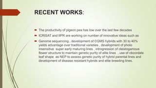 RECENT WORKS:
 The productivity of pigeon pea has low over the last few decades
 ICRISAT and IIPR are working on number of innovative ideas such as
 Genome sequencing , development of CGMS hybrids with 30 to 40%
yields advantage over traditional varieties , development of photo
insensitive super early maturing lines , introgression of cleistogamous
flower structure to maintain genetic purity of elite lines , use of obcordate
leaf shape as NEP to assess genetic purity of hybrid parental lines and
development of disease resistant hybrids and elite breeding lines.
 