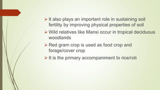  It also plays an important role in sustaining soil
fertility by improving physical properties of soil
 Wild relatives like Mansi occur in tropical deciduous
woodlands
 Red gram crop is used as food crop and
forage/cover crop
 It is the primary accompaniment to rice/roti
 