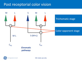 Post receptorial color vision
M          L         S       M              L

                                                  Trichomatic stage

    _
                                    +

                                    _             Color opponent stage
          M-L            S-(M+L)



    CRG                            CBY
                Chromatic
                pathways


                             GE inside use only
 