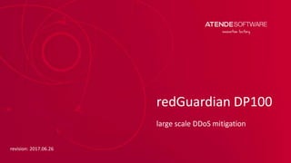 redGuardian DP100
large scale DDoS mitigation
revision: 2017.08.04
 