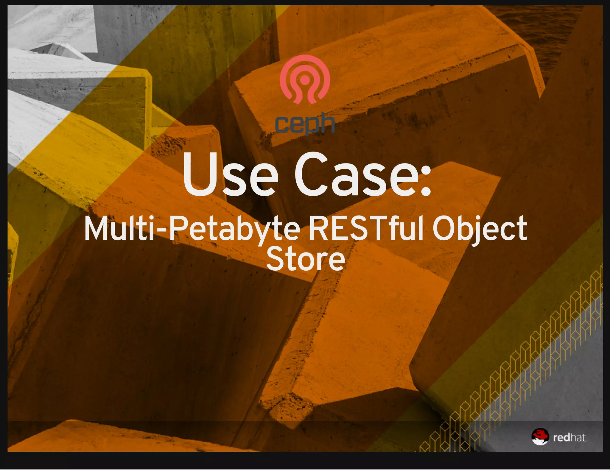 Use Case: 
Multi-Petabyte RESTful Object 
Store 
 