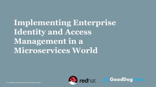 © Lighthouse Computer Services, All rights reserved
Implementing Enterprise
Identity and Access
Management in a
Microservices World
 