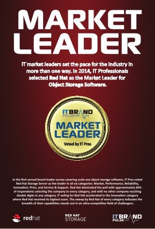 Red Hat Infographics - 2014 Scale-Out Object Storage Software Leader, as voted by IT Pros