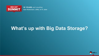 What’s up with Big Data Storage?
 