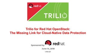 Trilio for Red Hat OpenStack:
The Missing Link for Cloud-Native Data Protection
 