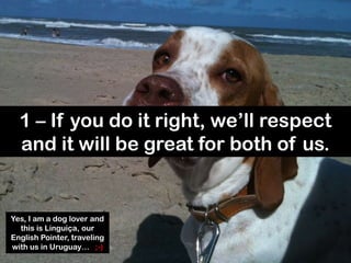 1 – If you do it right, we’ll respect
  and it will be great for both of us.


Yes, I am a dog lover and
  this is Linguiç...