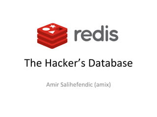The	
  Hacker’s	
  Database	
  
      Amir	
  Salihefendic	
  (amix)	
  
 