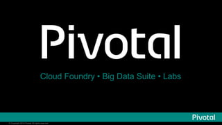 Cloud Foundry • Big Data Suite • Labs 
© Copyright 2014 Pivotal. All rights reserved. 
 