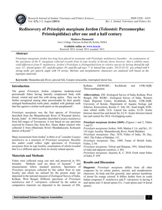 Research Journal of Animal, Veterinary and Fishery Sciences ___________________________ ISSN 2320 – 6535
Vol. 1(7), 1-5, August (2013) Res. J. Animal, Veterinary and Fishery Sci.
International Science Congress Association 1
Rediscovery of Pristolepis marginata Jerdon (Teleostei: Percomorpha:
Pristolepididae) after one and a half century
Mathews Plamoottil
Govt. College, Chavara, Kollam Dt, Kerala, INDIA
Available online at: www.isca.in
Received 2013, revised 2013, accepted 2013
Abstract
Pristolepis marginata Jerdon has long been placed in synonymy with Pristolepis malabarica Guenther. An examination of
the specimens of the P. marginata collected recently from its type locality in Kerala shows however, that it exhibits many
valid differences from P. malabarica. Jerdon’s Pristolepis is distinguished from its relative species by having dorsal fin soft
rays- 12 ; dorsal spines- XV; anal fin spines- IV; anal fin soft rays- 7- 8; lateral line scales –19-21/12-15; pre orbital with 9
strong teeth; pre opercle angle with 18 serrae; Meristic and morphometric characters are analyzed well based on the
topotypic materials.
Keywords: Mananthavady River, percoid fish, Catopra tetracantha, interrupted lateral line.
Introduction
The genus Pristolepis Jerdon comprises moderate-sized
percomorph fishes having laterally compressed body with
dorsal, ventral and anal fins with strong spines. They can be
further recognized among other percomorphs by their greatly
enlarged basibranchial tooth plate, studded with globular teeth
that bite against a similar tooth patch on the parsphenoid1
.
Pristolepis marginata was the first species of Pristolepis
described from the Mananthavady River of Wayanad district,
Kerala, India2
. In 1864 Guenther described Catopra malabarica
from hill ranges of Travancore; it was based on one specimen
received by Francis Day from Rev. Henry Baker (Junior) who
collected it from (Manimala River) Mundakkayam, Kottayam
district of Kerala3, 4
.
Many taxonomists from Jerdon5
to Britz et al.6
consider Catopra
malabarica as a synonym of Pristolepis marginata. Recently
this author could collect eight specimens of Pristolepis
marginata from its type locality, examination of which revealed
that it is a different species from its closely related species.
Materials and Methods
Fishes were collected using cast nets and preserved in 10%
formalin. Methods used are those of Jayaram7, 8
and
measurements follow standard practices. Specimens of
Pristolepis marginata collected by this author from its type
locality and which are utilized for the present study are
deposited in the national museum of Zoological Survey of India,
Kolkata, West Bengal; Different specimens of Pristolepis
malabarica and P. rubripinnis, collected by the author as
comparative materials are deposited in the museum of ZSI,
Kolkata, ZSI/WGRC, Kozhikode and UOK/AQB,
Thiruvanathapuram.
Abbreviations: ZSI- Zoological Survey of India, Kolkata, West
Bengal; ZSI/ WGRC- Zoological Survey of India, Western
Ghats Regional Centre, Kozhikode, Kerala; UOK/AQB-
University of Kerala, Department of Aquatic biology and
fisheries, Kariavattom, Kerala; F- fish; HL- head length; IOW-
inter orbital width; LLS- Lateral line scales; LL/D- Scales
between lateral line and dorsal fin; LL/V- Scales between lateral
line and ventral fin; OLS- Overlapping scales.
Pristolepis marginata Jerdon (1849): (Figures 1 and 2; Tables
1 and 2)
Pristolepis marginatus Jerdon, 1849, Madras J. Lit. and Sci., 15:
141 (type- locality: Mananthavady River, North Malabar).
Pristolepis marginatus: Day, 1878, Fishes of India, 30; Day,
1865, The Fishes of Malabar, 131.
Pristolepis marginata: Day, 1889, Fauna of British India,
Fishes, 2: 84.
Pristolepis marginata: Talwar and Jhingran, 1991, Inland fishes
of india and adjacent countries, 2: 881.
Pristolepis marginata: Jayaram, K. C,
2010, Fresh water fishes
of India, P. 459.
Results and Discussion
Diagnosis: Pristolepis marginata differs from all other
congeners by its colour pattern, meristic and morphometric
characters. Its body and fins greenish; inter spinous membrane
of dorsal fin orange colored. It differs further from its south
Indian congeners P. malabarica and P. rubripinnis in having 4
anal spines and 15 dorsal spines (Vs. 3 anal spines and 14 dorsal
spines).
 