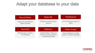 Adapt your database to your data
ReBloom Redis-Graph
Scalable Bloom Filters for
fast and memory efficient
membership testing
Graph database on Redis
based on Cypher language
ReJSON
JSON Engine on Redis.
Pre-released
Neural Redis Redis-ML RediSearch
Full Text Search Engine in
Redis
Machine Learning Model
Serving
Simple Neural Network
Native to Redis
 