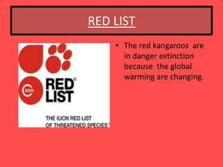 RED LIST
    • The red kangaroos are
      in danger extinction
      because the global
      warming are changing.
 