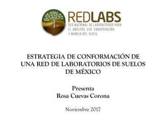 ESTRATEGIA DE CONFORMACIÓN DE
UNA RED DE LABORATORIOS DE SUELOS
DE MÉXICO
Presenta
Rosa Cuevas Corona
Noviembre 2017
 