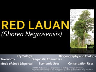 (Shorea Negrosensis)
GALIZA, Judy Anne V.| Department of Biology, College of Science,
Polytechnic University of the Philippines | Article published on July 30, 2018
Taxonomy
Etymology
Diagnostic Characters
Biogeography and Ecology
Mode of Seed Dispersal Economic Uses Conservation Uses
 