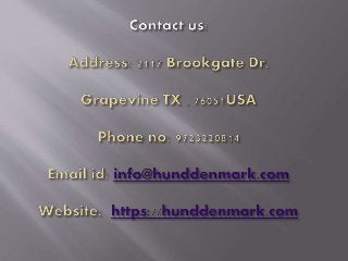 Red leather dog collar