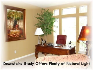 Downstairs Study Offers Plenty of Natural Light 