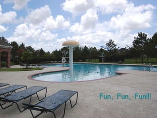 Fun, Fun, Fun!!! 