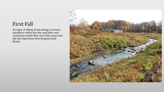First Fall
No signs of rilling, headcutting or erosion
anywhere within the site, and there was
continuous water flow out of the seeps and
the site experience several good sized
floods.
 