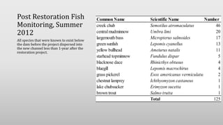 Post Restoration Fish
Monitoring, Summer
2012
All species that were known to exist below
the dam before the project dispersed into
the new channel less than 1-year after the
restoration project.
Common Name Scientific Name Number
creek chub Semotilus atromaculatus 46
centralmudminnow Umbra limi 20
largemouth bass Micropterus salmoides 17
green sunfish Lepomis cyanellus 13
yellow bullhead Ameiurus natalis 11
starhead topminnow Fundulus dispar 5
blacknose dace Rhinicthys obtusus 4
bluegill Lepomis macrochirus 4
grass pickerel Esox americanus vermiculatus 2
chestnut lamprey Ichthyomyzon castaneus 1
lake chubsucker Erimyzon sucetta 1
brown trout Salmo trutta 1
Total 125
 