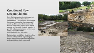 Creation of New
Stream Channel
Once the impoundment was dewatered,
creation of the new channel was
implemented. This consisted of creating a
linear depression what the stream path
was to go. Then natural substrates and
boulder riffles were placed in the stream
channel to a) provide dynamic stability, b)
provide substrates indicative of the reach
and c) provide habitat for
macroinvertebrates and fishes.
Past practices would have lined the whole
channel with quarried, angular riprap,
which is equivalent to a concrete channel
as far as biodiversity is concerned.
 