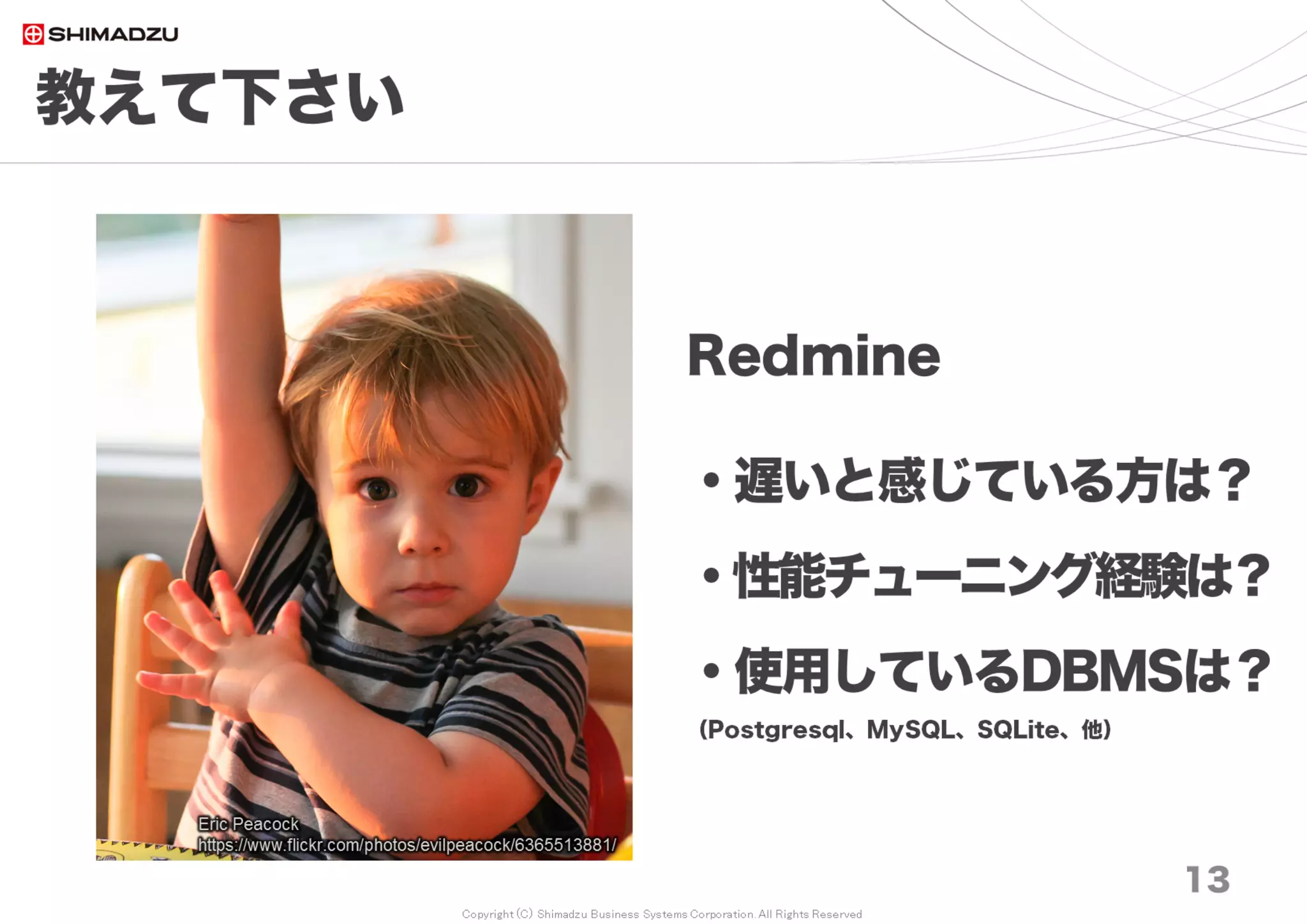 Copyright (C) Shimadzu Business Systems Corporation. All Rights Reserved
教えて下さい
13
Redmine
・遅いと感じている方は？
・性能チューニング経験は？
・使用しているDBMSは？
（Postgresql、MySQL、SQLite、他）
Eric Peacock
https://www.flickr.com/photos/evilpeacock/6365513881/
 